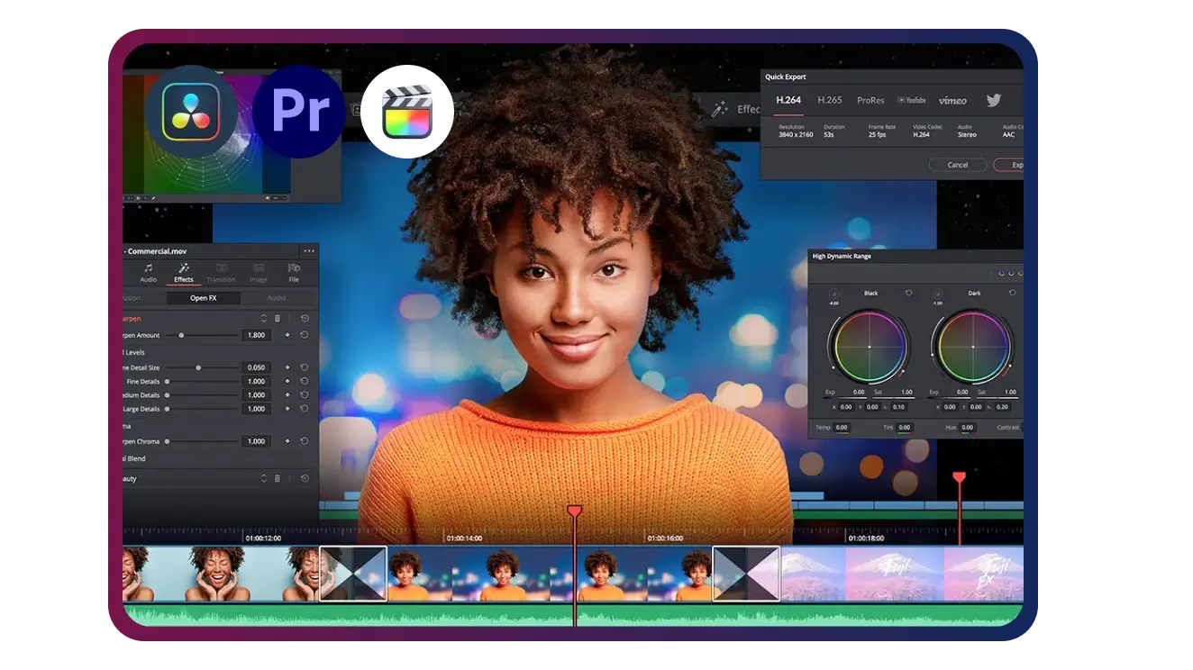 Seamless Pro-Editor Compatibility