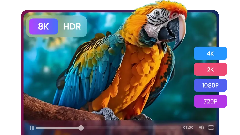Preserving Perfection: The True 4K Quality.